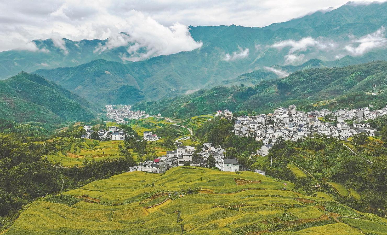 安徽发展探析，观点探讨与未来展望