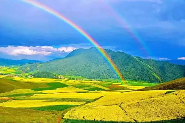 阳光青海，温暖故事绽放高原