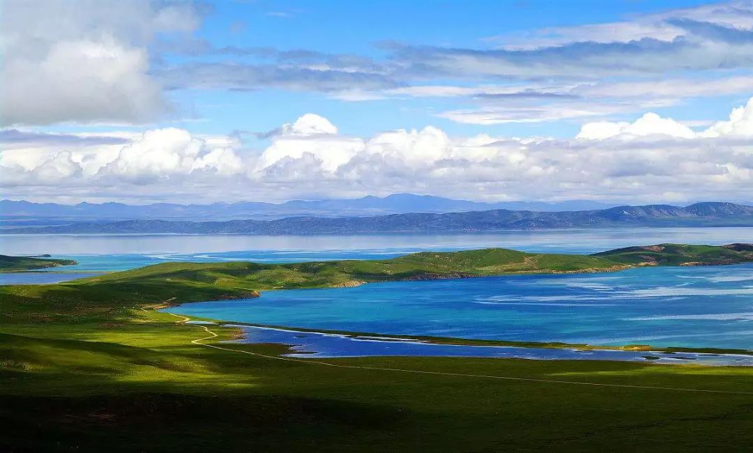 阳光青海,温暖故事绽放高原