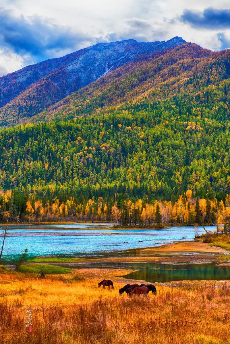 西域风情,新疆行吟之旅